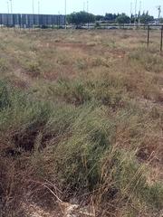 Terreno residenziale in Torrellano. Solar en venta en el parque empresarial de elche
