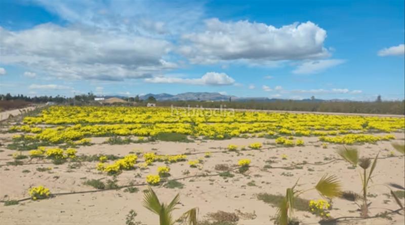 Foto 1b38e26d-13d0-4288-b67d-4e45c68bdc9a. Residential plot in La Foia - Daimés - Asprella Elche / Elx