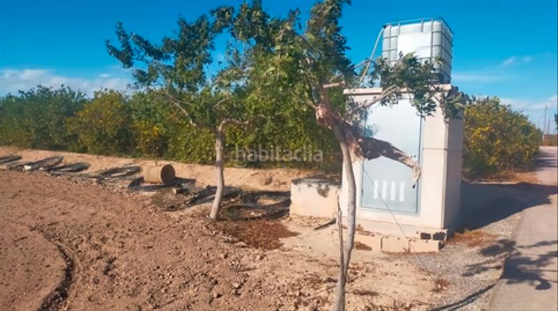 Foto 3eecd8b2-1f32-433c-90a5-cebcc88e7e41. Residential plot in La Foia - Daimés - Asprella Elche / Elx