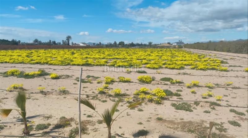 Foto 6d2c2a99-f946-4577-8d2c-1fc2af82c0a6. Residential plot in La Foia - Daimés - Asprella Elche / Elx