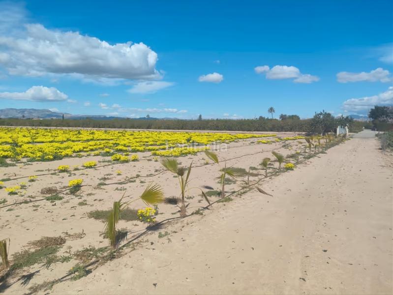 Foto 97501550-5e13-4ce4-b41e-860ede1ee5df. Residential plot in La Foia - Daimés - Asprella Elche / Elx