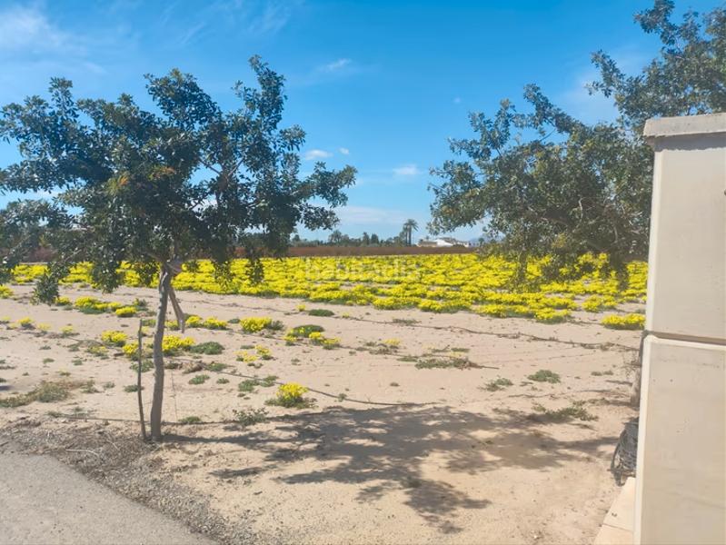 Foto a19e741d-f260-4c24-a7a0-1a5f601e4699. Residential plot in La Foia - Daimés - Asprella Elche / Elx