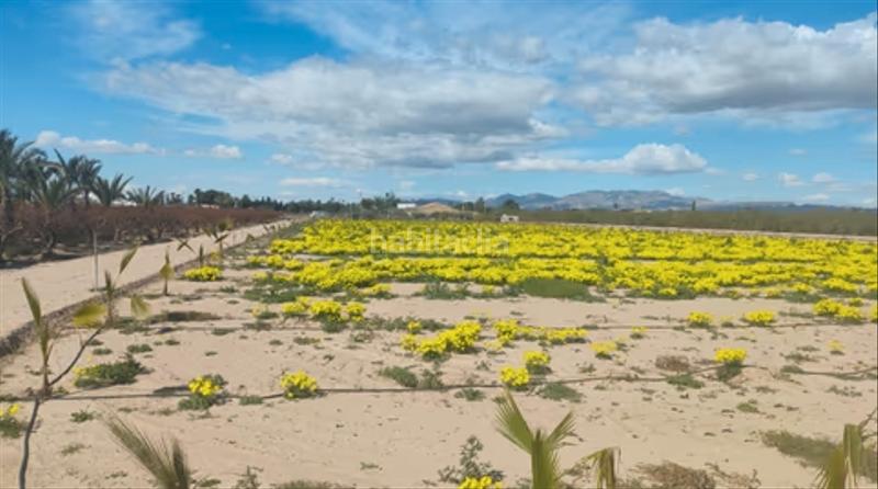 Foto c93de1fd-64f0-4708-a7bf-0b5b7af8ded7. Residential plot in La Foia - Daimés - Asprella Elche / Elx