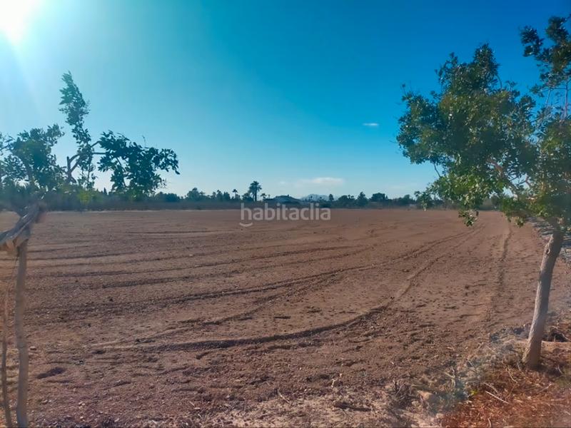 Foto f6d57d5e-ab23-4efa-b03d-f0caf476e3c0. Residential plot in La Foia - Daimés - Asprella Elche / Elx