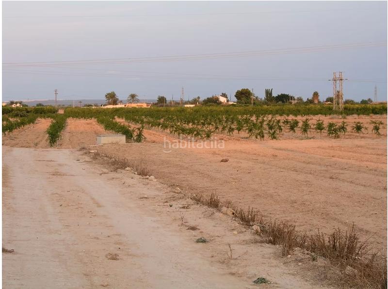 Foto 03e75e8d-ef5c-4737-a52e-23a71d846857. Terrain résidentiel dans La Portalada Elche / Elx
