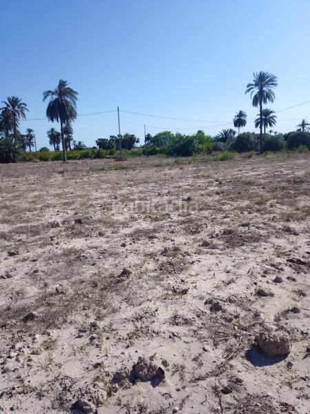 Foto 1f8b74d3-bc4e-4af4-9abb-99a903811ae5. Finca rústica terreno rustico en venta en Alzabares Elche / Elx