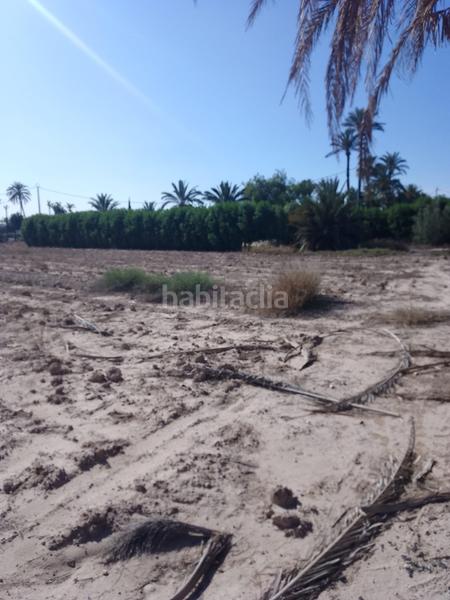 Foto 518340c5-2487-4d19-8d1b-09a664b1d6b8. Finca rústica terreno rustico en venta en Alzabares Elche / Elx