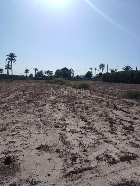 Foto 6981241b-99a2-42ac-996e-a65a4e4c482c. Finca rústica terreno rustico en venta en Alzabares Elche / Elx