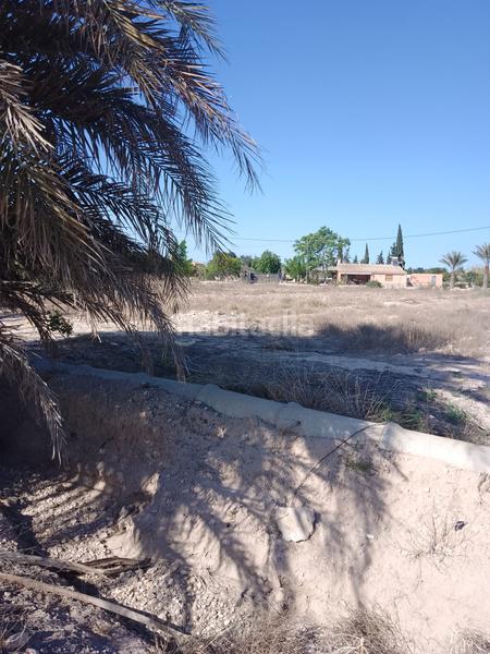Foto 7986cc8c-8d26-434c-bf82-fb86c24a8dff. Finca rústica terreno rustico en venta en Alzabares Elche / Elx