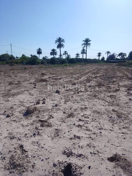 Foto 92694698-4421-4b55-b59e-e41680ce72c6. Finca rústica terreno rustico en venta en Alzabares Elche / Elx