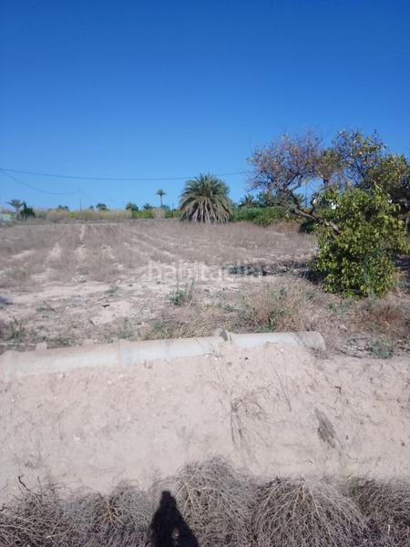 Foto 9d553920-7e43-44ed-badf-53af7f2c741e. Finca rústica terreno rustico en venta en Alzabares Elche / Elx