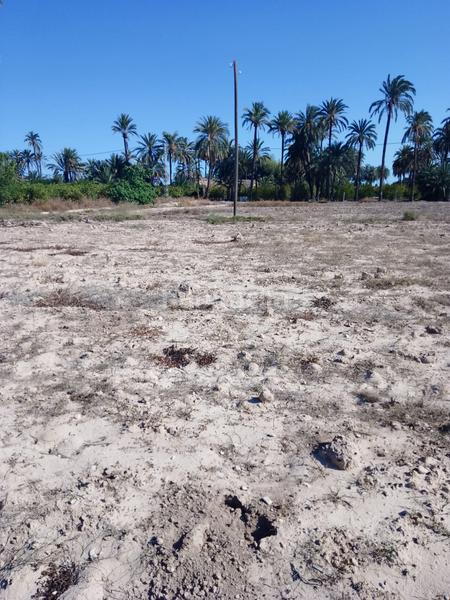 Foto b72a1761-e167-4267-8289-f1819a5fccfb. Finca rústica terreno rustico en venta en Alzabares Elche / Elx