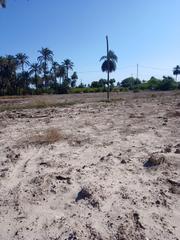 Finca rústica en Alzabares. Terreno rustico en venta