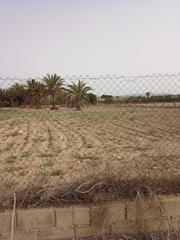 Lloguer Solar industrial a Torrellano. Terreno vallado en alquiler
