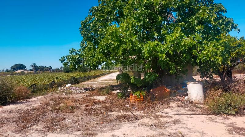 Foto 02519205-6f19-4d7c-aea5-392f668fa325. Rural plot in La Foia - Daimés - Asprella Elche / Elx