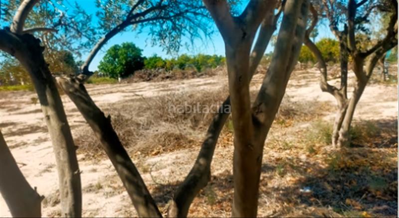 Foto 11d47a52-3438-45c3-bede-cfe10a34861c. Rural plot in La Foia - Daimés - Asprella Elche / Elx