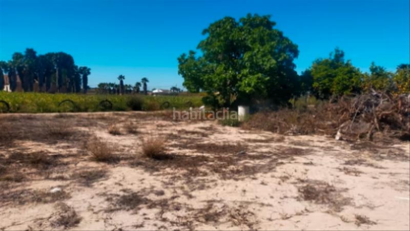 Foto 3baf6415-f8f2-4593-b822-3df82d3708c9. Rural plot in La Foia - Daimés - Asprella Elche / Elx