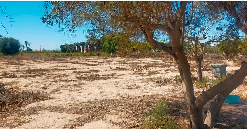 Foto 582747c4-d37f-4393-8afe-668527565959. Rural plot in La Foia - Daimés - Asprella Elche / Elx