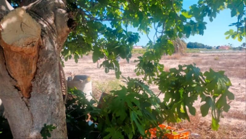 Foto 693e3bee-5405-4957-9cc9-36a8922aacfc. Rural plot in La Foia - Daimés - Asprella Elche / Elx