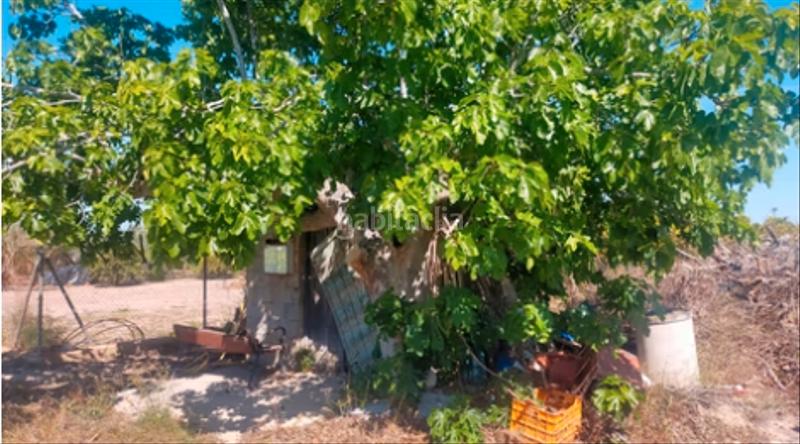 Foto 70f3a256-4329-46b7-8484-0ba12e3f3da3. Rural plot in La Foia - Daimés - Asprella Elche / Elx