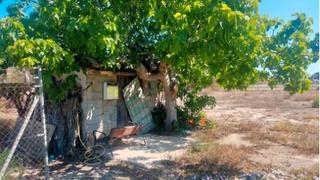 Finca rústica en La Foia - Daimés - Asprella. Parcela rustica cerca de la pedania de la hoya en elche