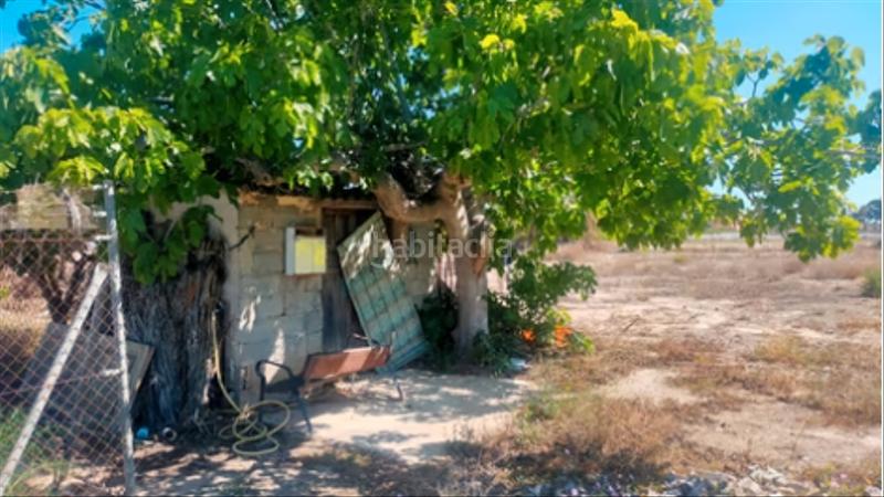 Foto d9dfce8e-3548-4d11-b563-d4c3ec8d913f. Rural plot in La Foia - Daimés - Asprella Elche / Elx