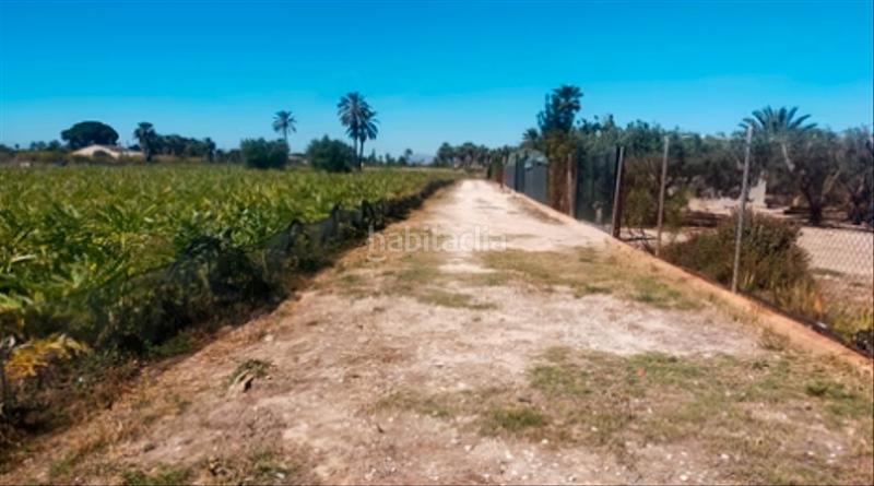 Foto e1f72342-76b8-4362-8e80-b0bf0f168274. Rural plot in La Foia - Daimés - Asprella Elche / Elx