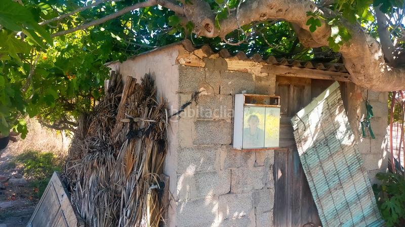 Foto ef32db5e-7a6e-4bb8-9a35-122166788f02. Rural plot in La Foia - Daimés - Asprella Elche / Elx