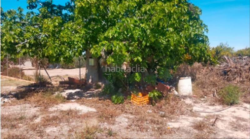 Foto fef0b461-e841-45f4-85b7-00b35b582b47. Rural plot in La Foia - Daimés - Asprella Elche / Elx