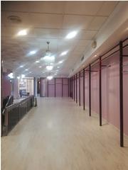 Business premise in Centro