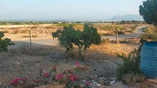 Casa a Albatera. Casa de venta en el termino de albatera
