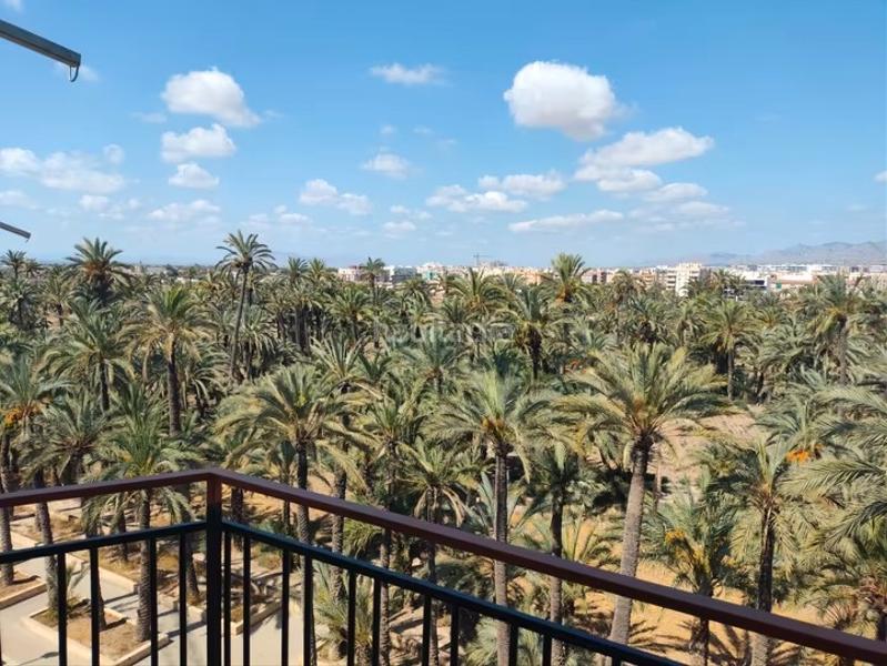 Foto 2363568c-366c-4a89-8857-07ebb2b1f6a6. Location appartement dans El Raval - Portes Encarnades Elche / Elx