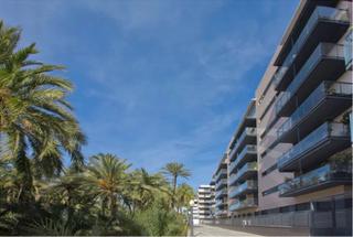 Lloguer Pis a Nou Altabix. Piso seminuevo de alquiler en zona residencial de elche