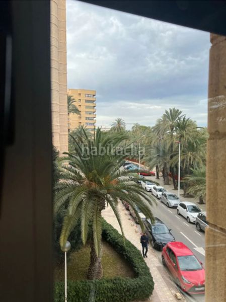 Foto 4e2be615-b4b7-41a5-8729-a7a0f777308a. Lloguer pis a Centro Elche / Elx