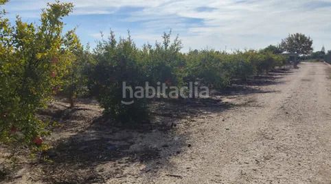Foto fb2ab130-78a9-422a-908e-85c08ca1b391. Finca rústica a La Foia - Daimés - Asprella Elche / Elx