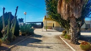 Miete Chalet in La Foia - Daimés - Asprella. Chalet en alquiler en la pedania la hoya de elche