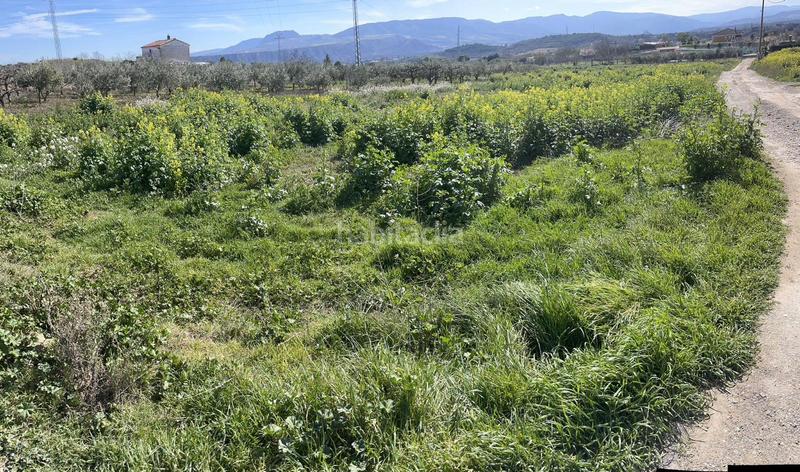 Foto ff74b1c7-4c13-4aef-a689-f94a207be8a0. Landgut in Lardero