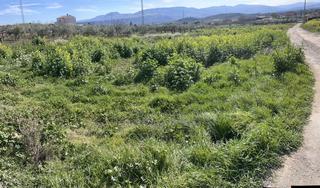 Rural plot in Lardero