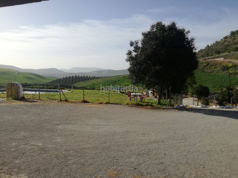 Foto 5a74f993-8b7a-4bd4-8feb-c27c3c344275. Chalet en Arcos de la Frontera