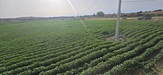 Landgut  N/a