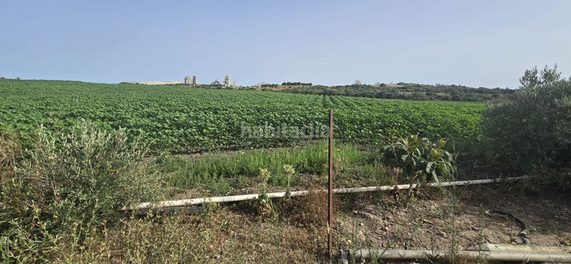 Foto 91a82af3-ddba-4745-91b8-3f46ec64a3ae. Finca rústica en Parque Atlántico - Ronda este Jerez de la Frontera