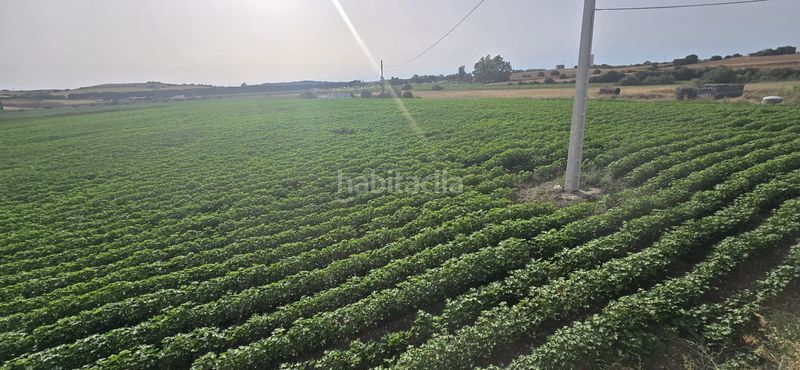 Foto d263e15b-d8b0-4572-a907-a0690fedbf0e. Finca rústica en Parque Atlántico - Ronda este Jerez de la Frontera