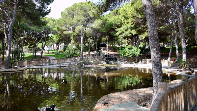 Foto cbc8c8b6-63f2-439b-9807-633f84b583ac. Terreny residencial a Pueblo Guardamar del Segura