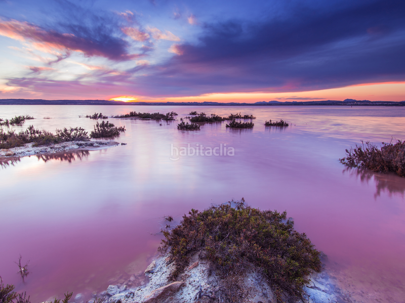 Foto 82365e41-b2bc-4cce-9703-782481614352. Casa amb aparcament piscina a Aguas Nuevas Torrevieja