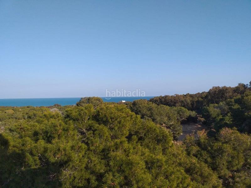 Foto a43c1886-a358-44cb-a922-28d81ecfcb2f. Terreny residencial a Pueblo Guardamar del Segura