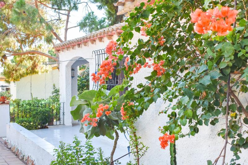 Foto 70f091b3-5dc8-41e3-a614-3745dd577156. Casa con parcheggio in Punta Prima Orihuela