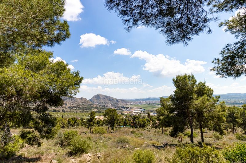 Foto ae83be64-e41a-4546-88ac-f13b67223413. Casa amb aparcament piscina a Orihuela ciudad Orihuela