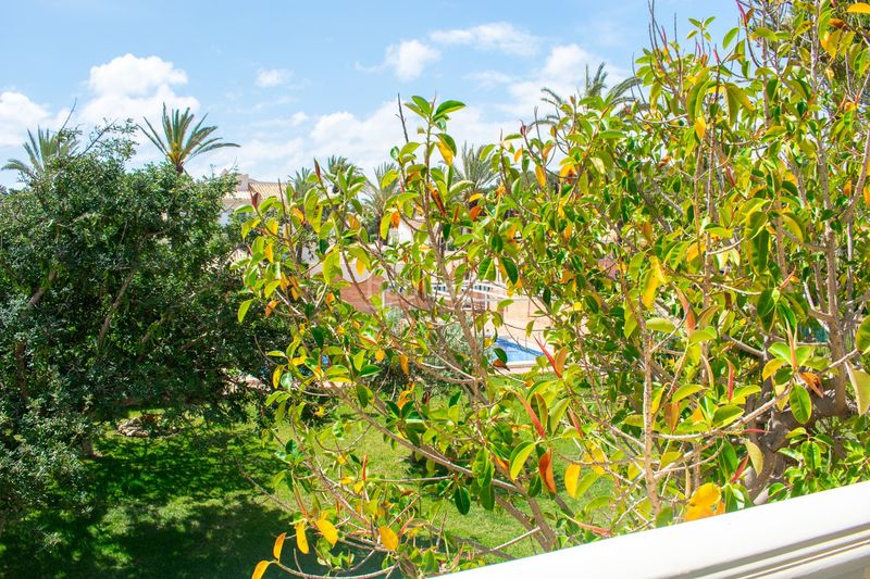 Foto 4dcb0351-6056-41b5-aa84-cedfd6cc79db. Casa amb calefacció aparcament piscina a Cabo Roig Orihuela