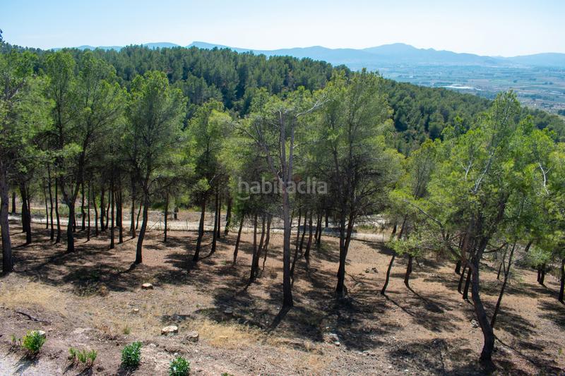 Foto 62a41859-6c5e-4029-8da9-a900b5191f79. Casa descubra esta casa o chalet independiente de 400 m construidos y 380 m útiles, ubicada en una parcela de 3.400 m en una zona eleva en Ibi