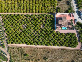 Maison à Desamparados - Hurchillo - Torremendo. Presentamos estanbspfinca en orihuela que ofrece una oportunidad